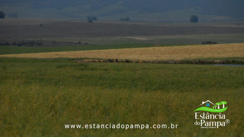 DOS EÓLICOS VIRA P FAZENDA_Moment.00_02_18_08.Quadro498_56e4c91e7220546b44b7c8234dcb1b6aff4904a6.jpg